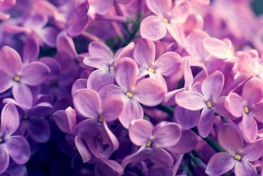 嘉兴秀洲区7企业急用钱贷款攻略：快速融资解燃眉之急